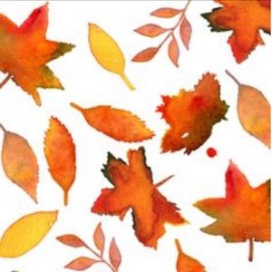 Meet your Posher, Caleb